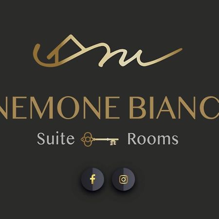 Finestra Sull'Adamello Apartment Passo del Tonale Exterior photo