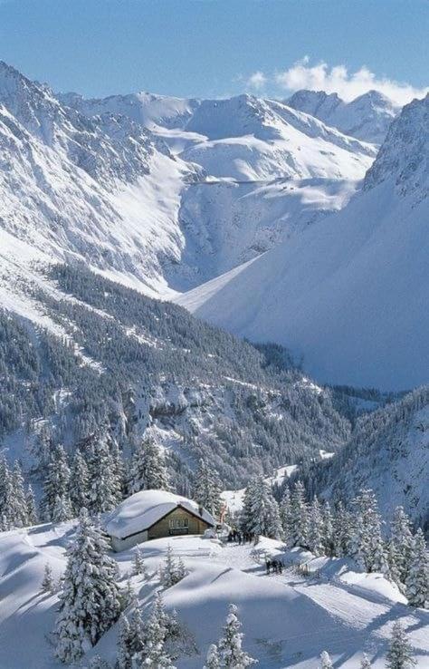 Finestra Sull'Adamello Apartment Passo del Tonale Exterior photo